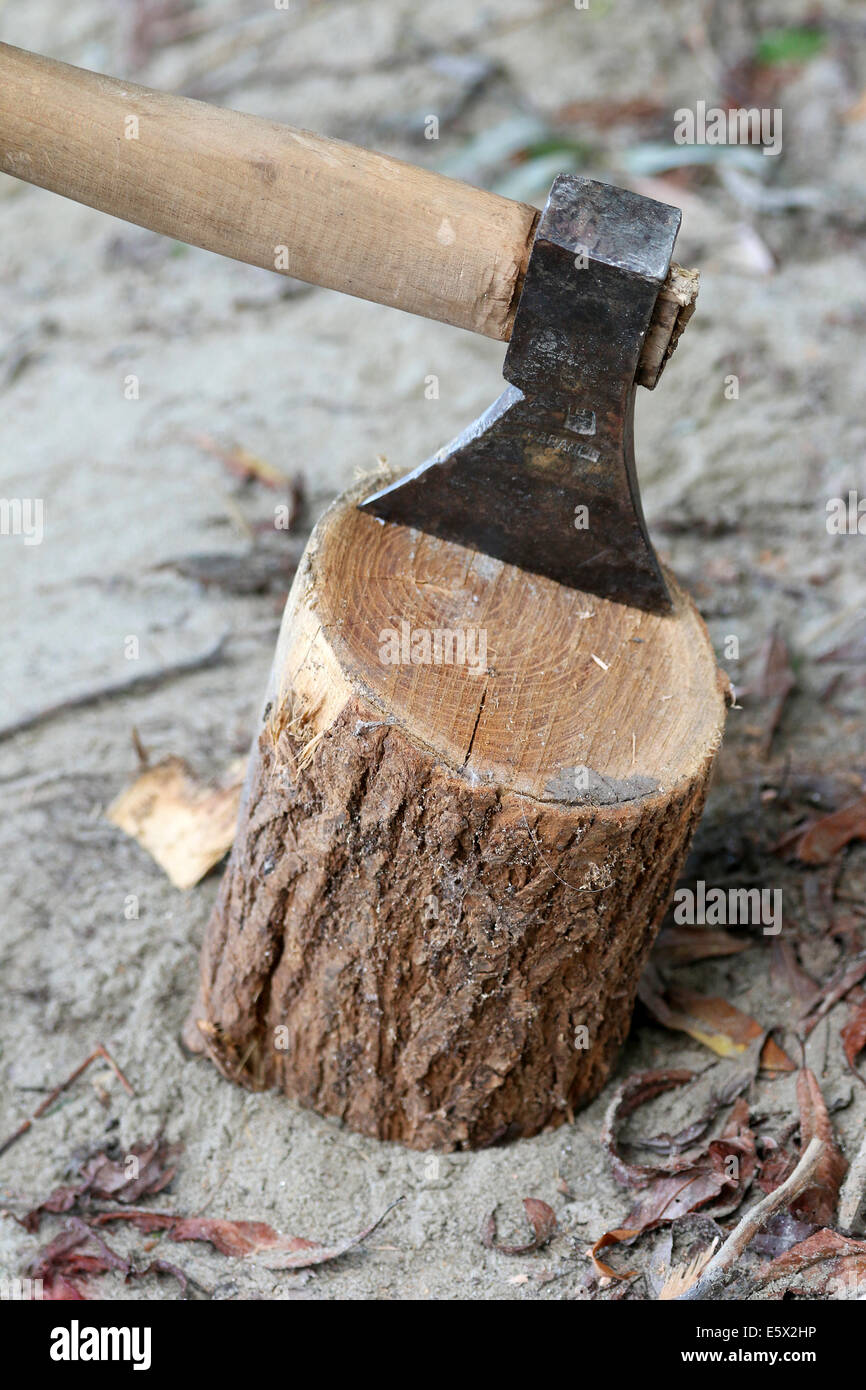 Closeup shot of Axe and the log. Stock Photo