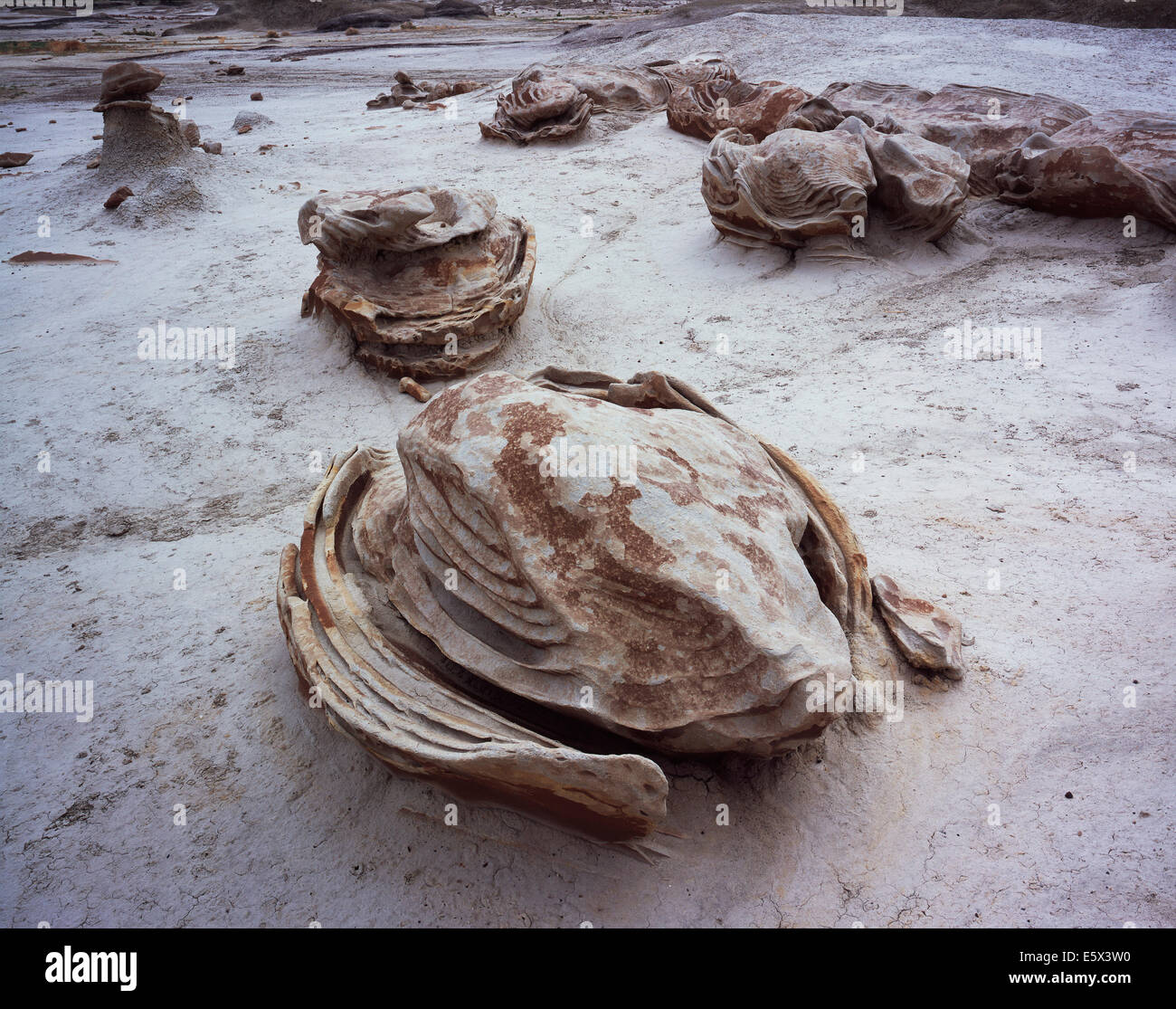 Collection 27+ Stock Photos turtle, rock, and stock all types of which creature? Excellent