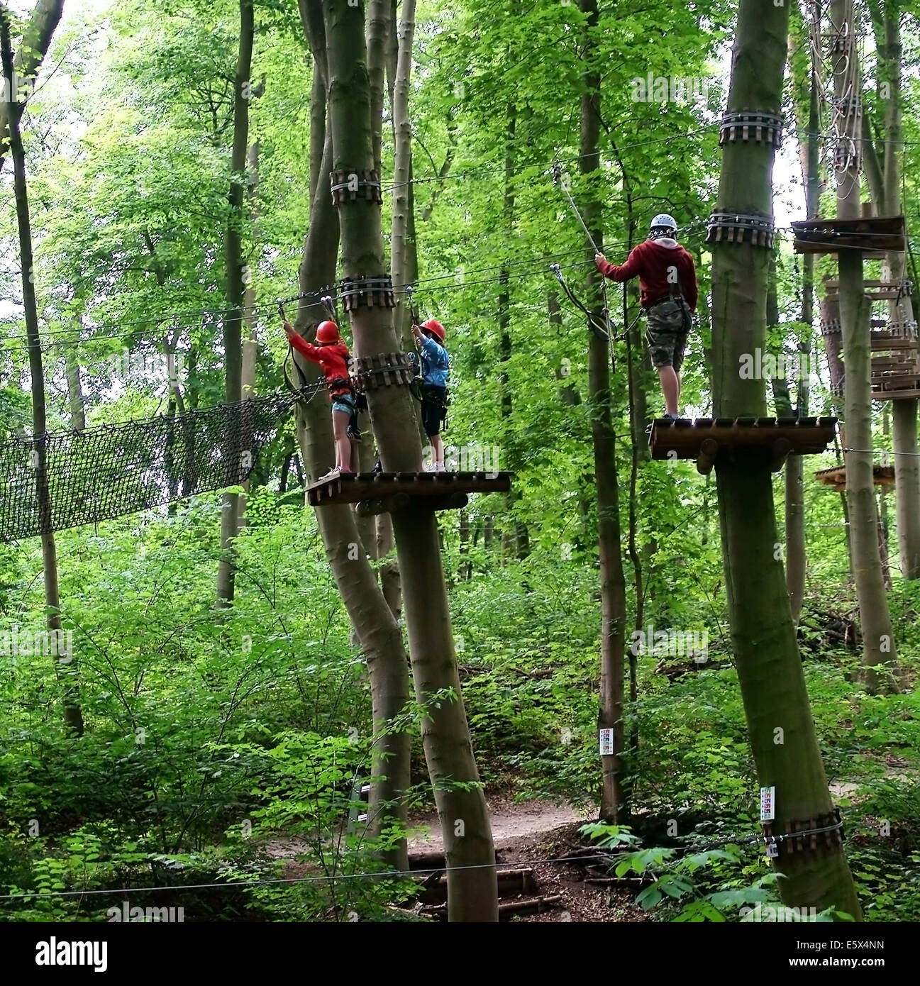 In the climbing forest Stock Photo Alamy