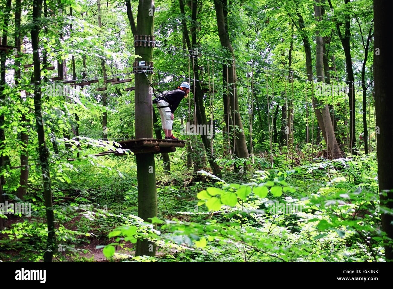 In the climbing forest Stock Photo Alamy
