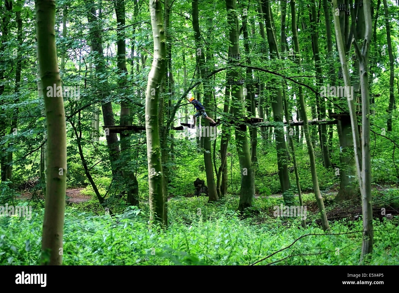 In the climbing forest Stock Photo Alamy