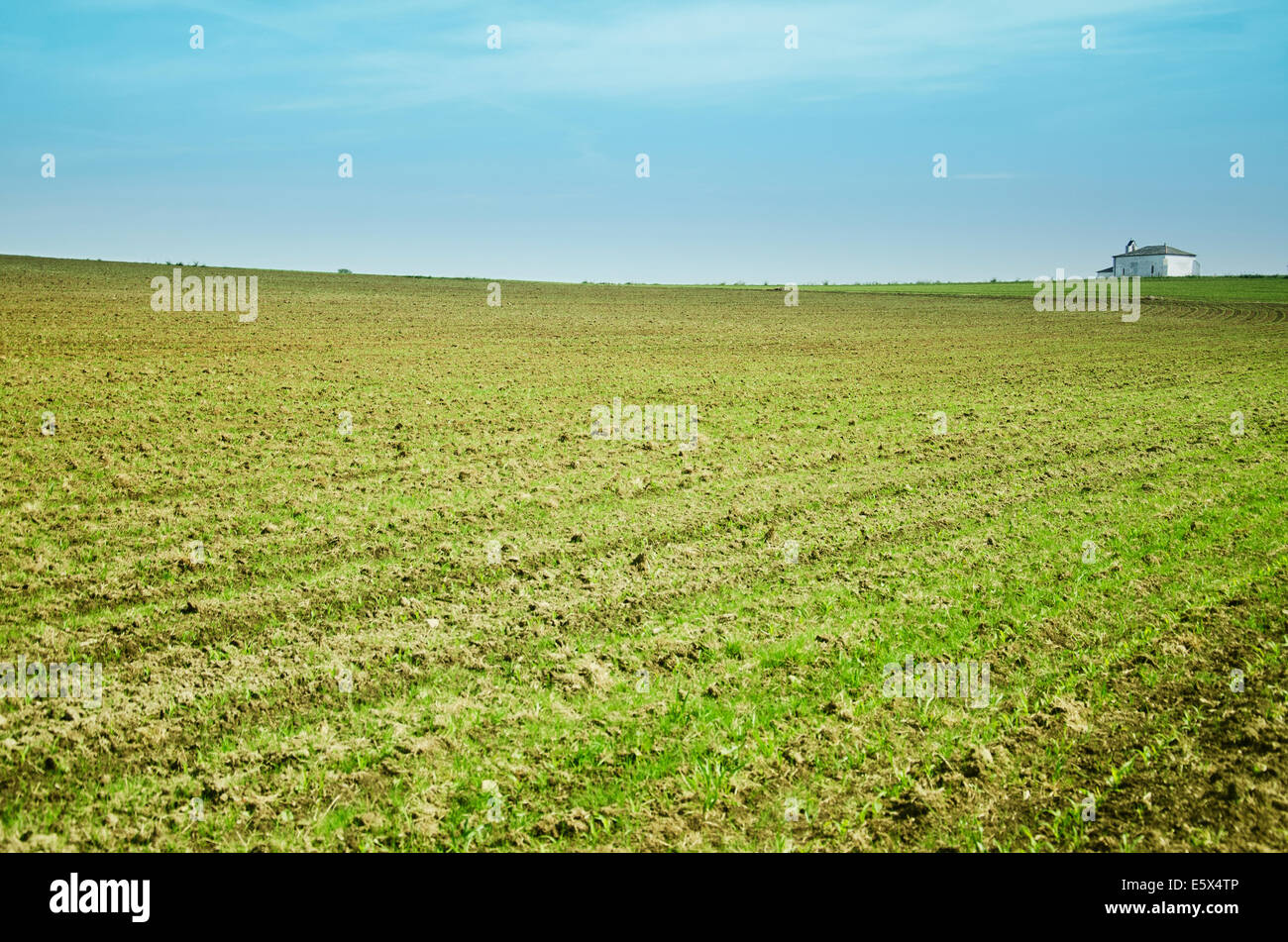 furrowed and planted field in spain country side. Stock Photo