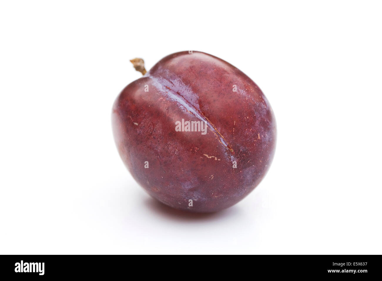 A single plum on a white background. Stock Photo