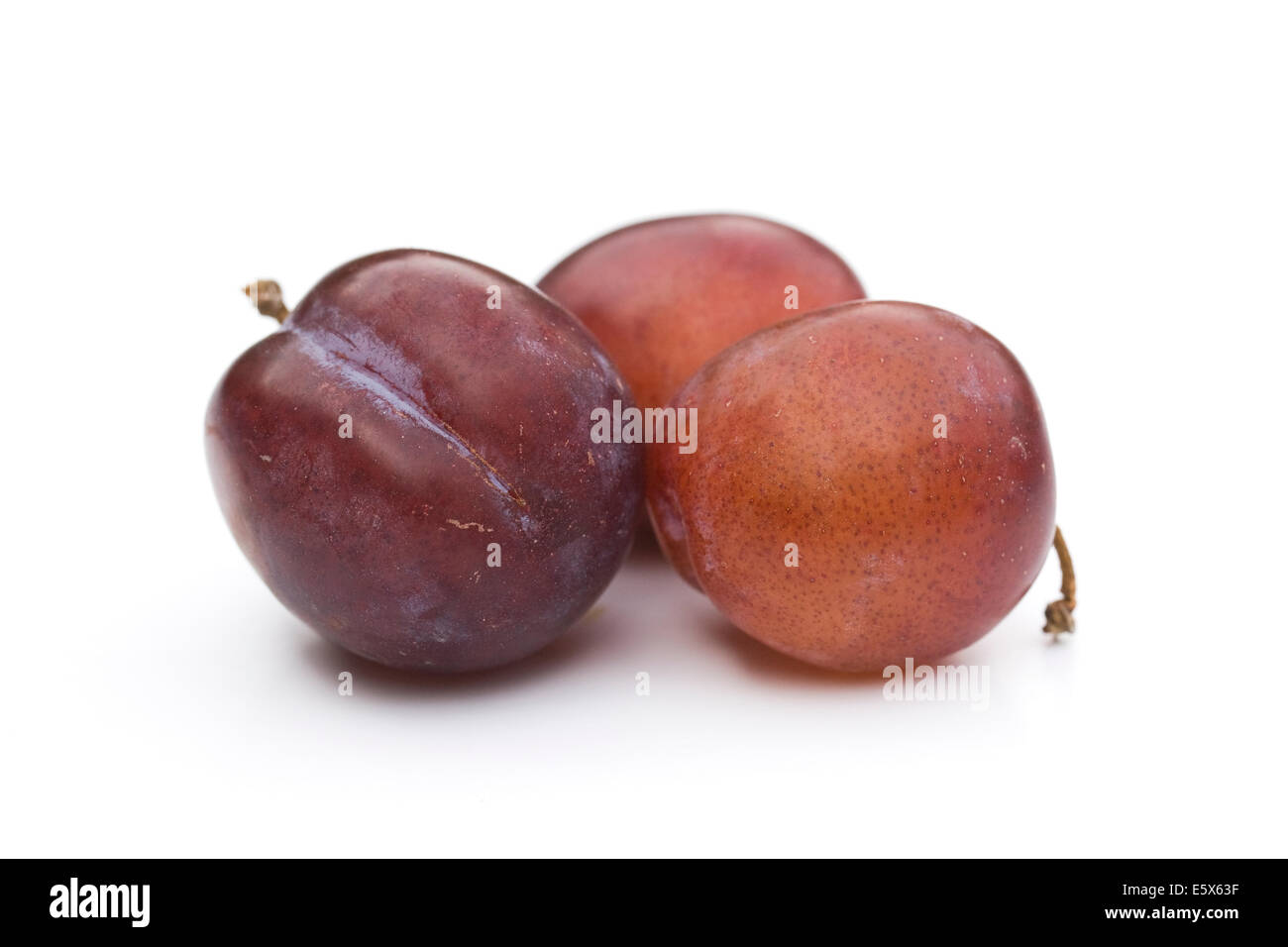 Three plums on a white background. Stock Photo