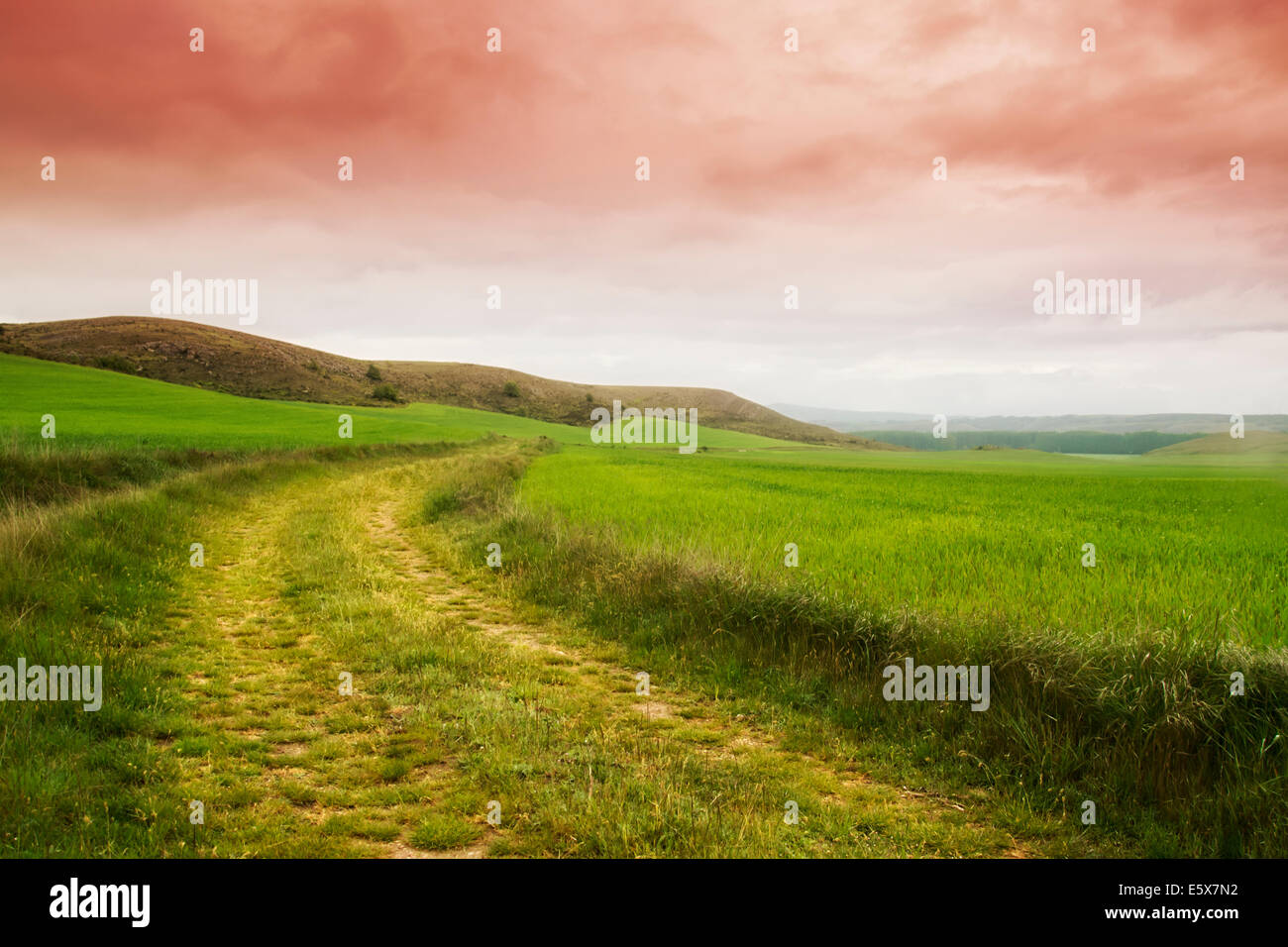 spring landscape with a cloudy sky Stock Photo