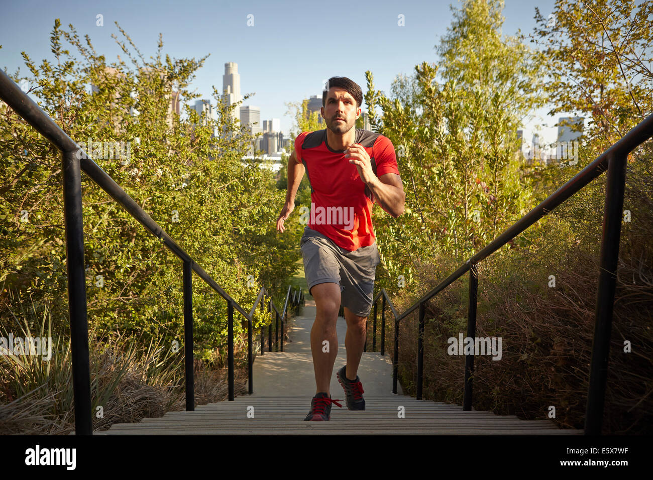 Young male runner running up park steps Stock Photo Alamy