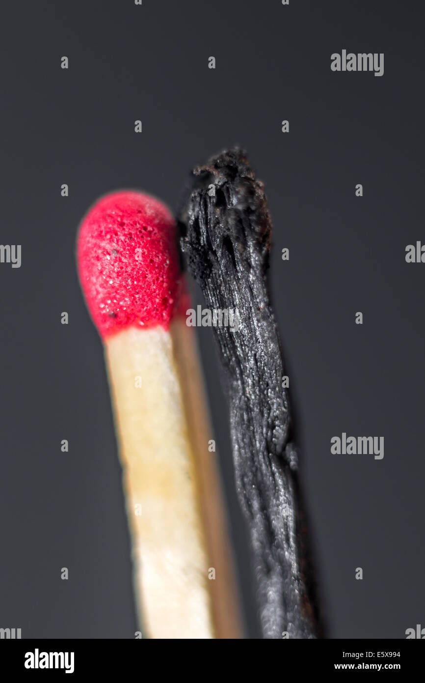 Yin hi-res stock photography and images - Alamy