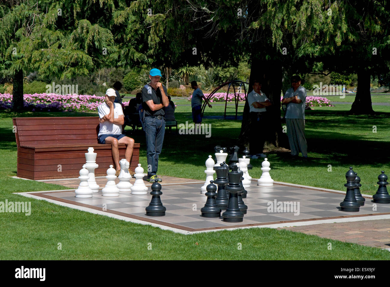 Outdoor chess game in a park at Taupo in the Waikato Region, North Island, New Zealand. Stock Photo