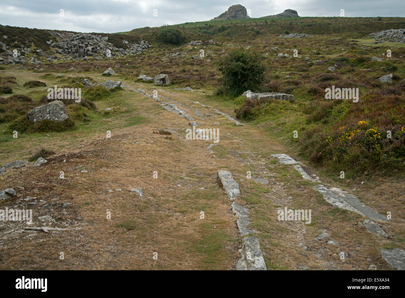 Old Granite Railway, Haytor, Dartmoor, Devon, England. Remains of granite tracks Stock Photo