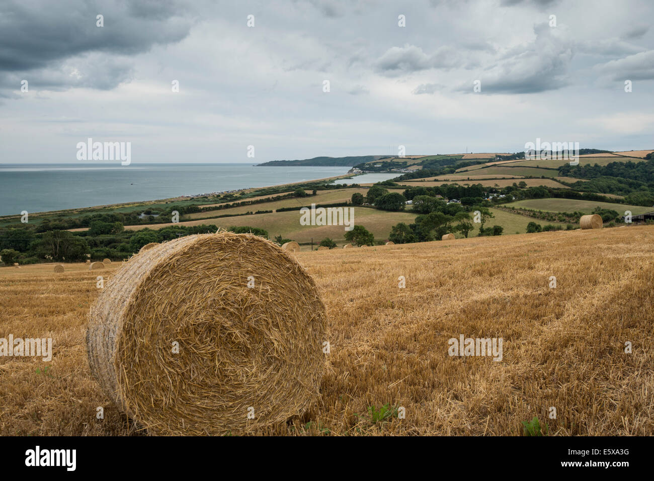 Straw Bale in field above Slapton Ley, Devon, England Stock Photo Alamy