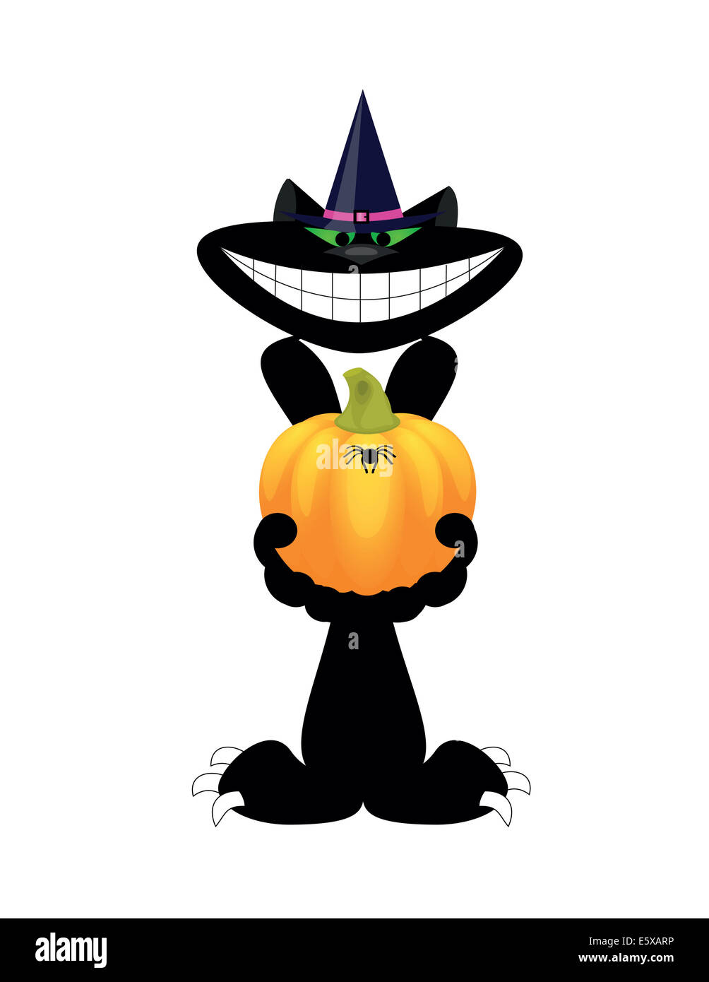 Black cat with Halloween pumpkin on white background Stock Photo - Alamy