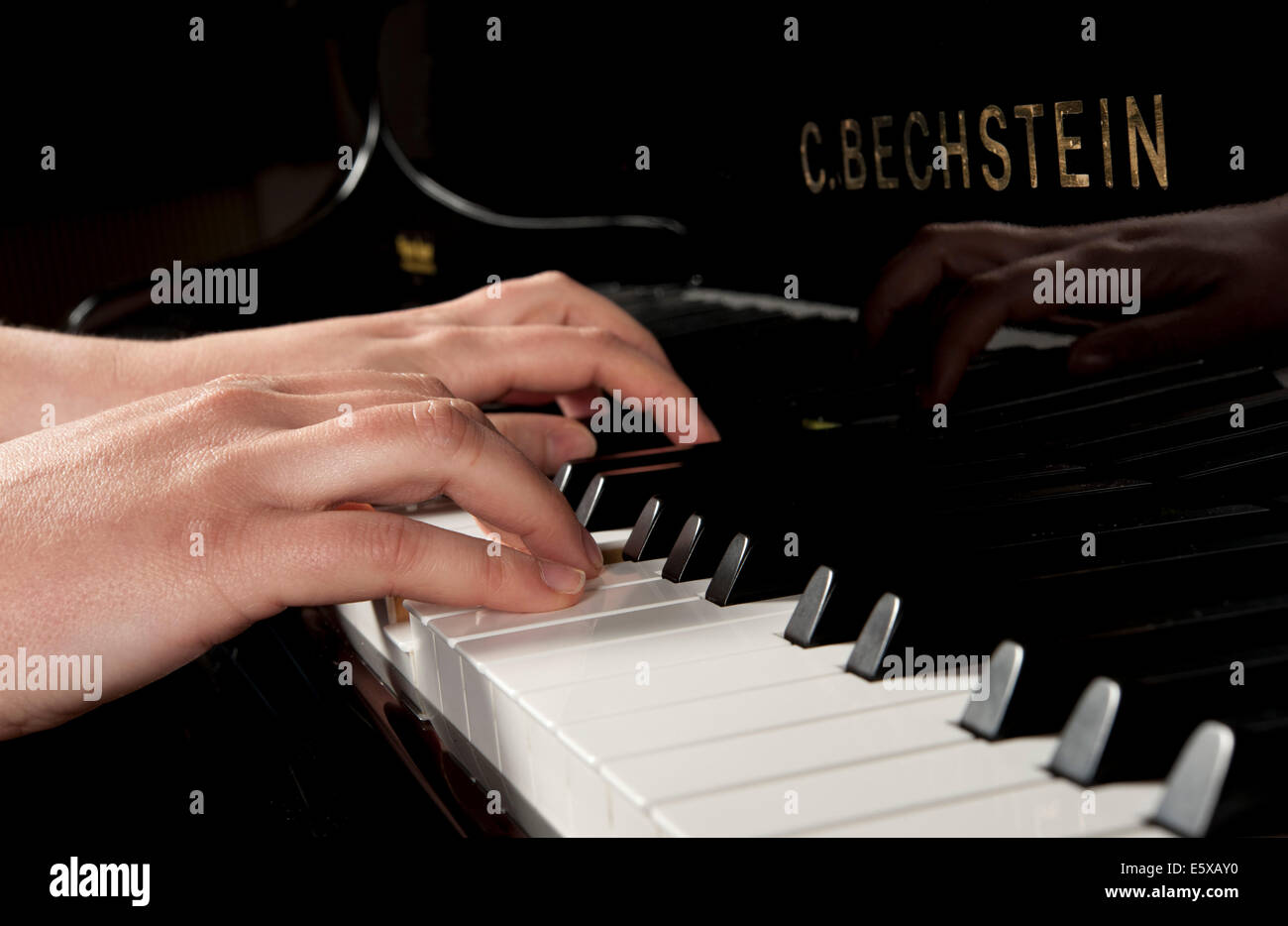 Keyboard - Bechstein piano - 2010. Stock Photo