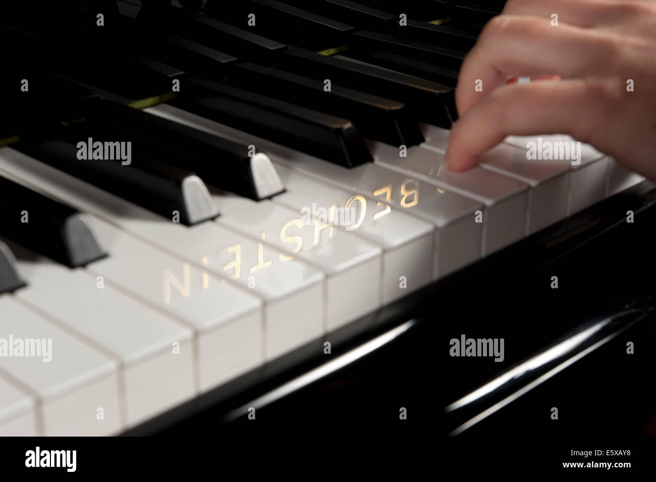 Keyboard - Bechstein piano - 2010. Stock Photo