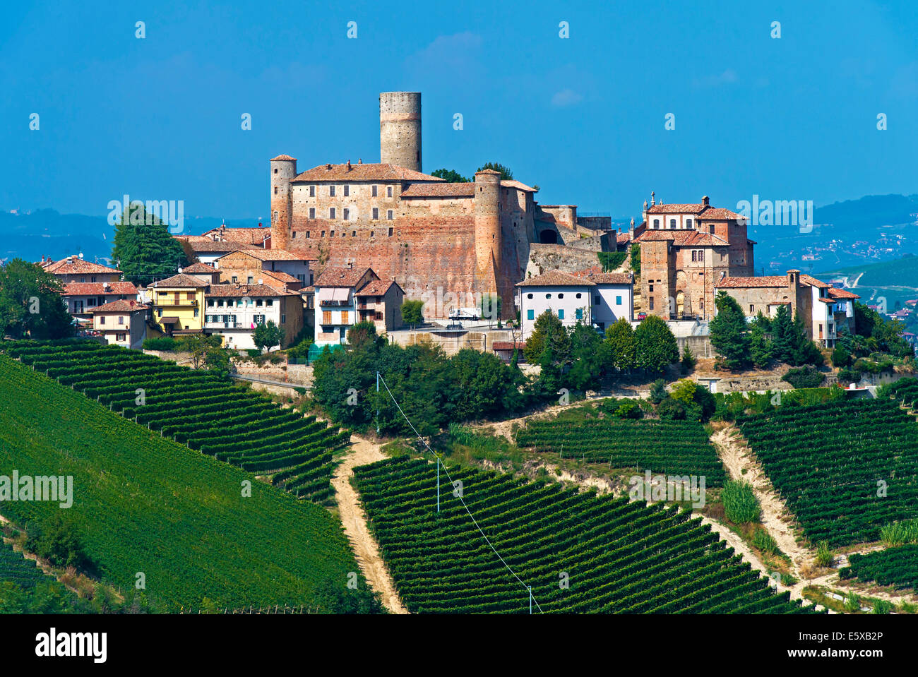 The castle of Castiglione Falletto rising above vineyards, Castiglione Falletto, Province of Cuneo, Piedmont, Italy Stock Photo
