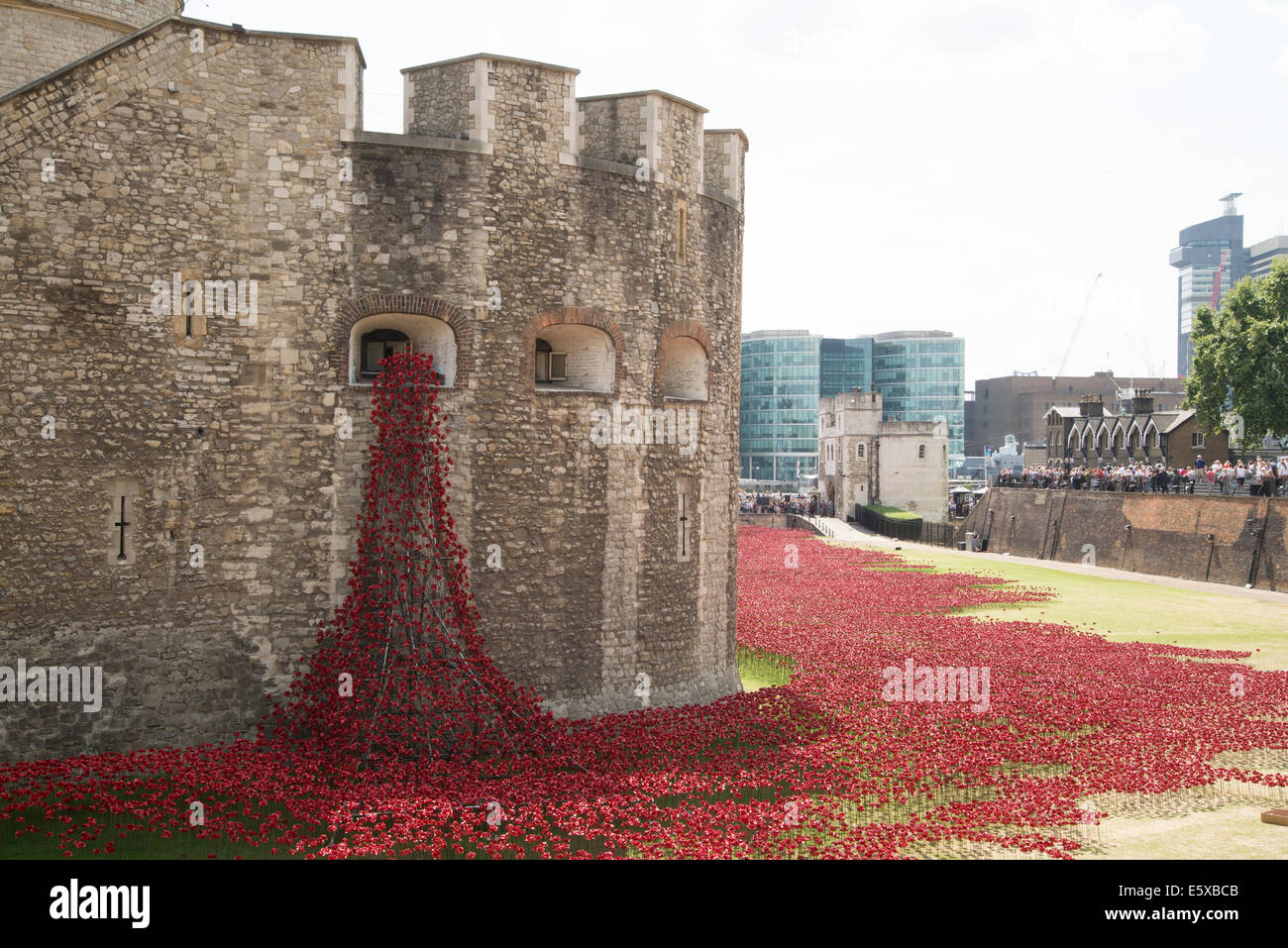 Ceramic poppies bleed from a bastion window at the Tower of London. In remembrance of soldiers who died in WW1 Stock Photo