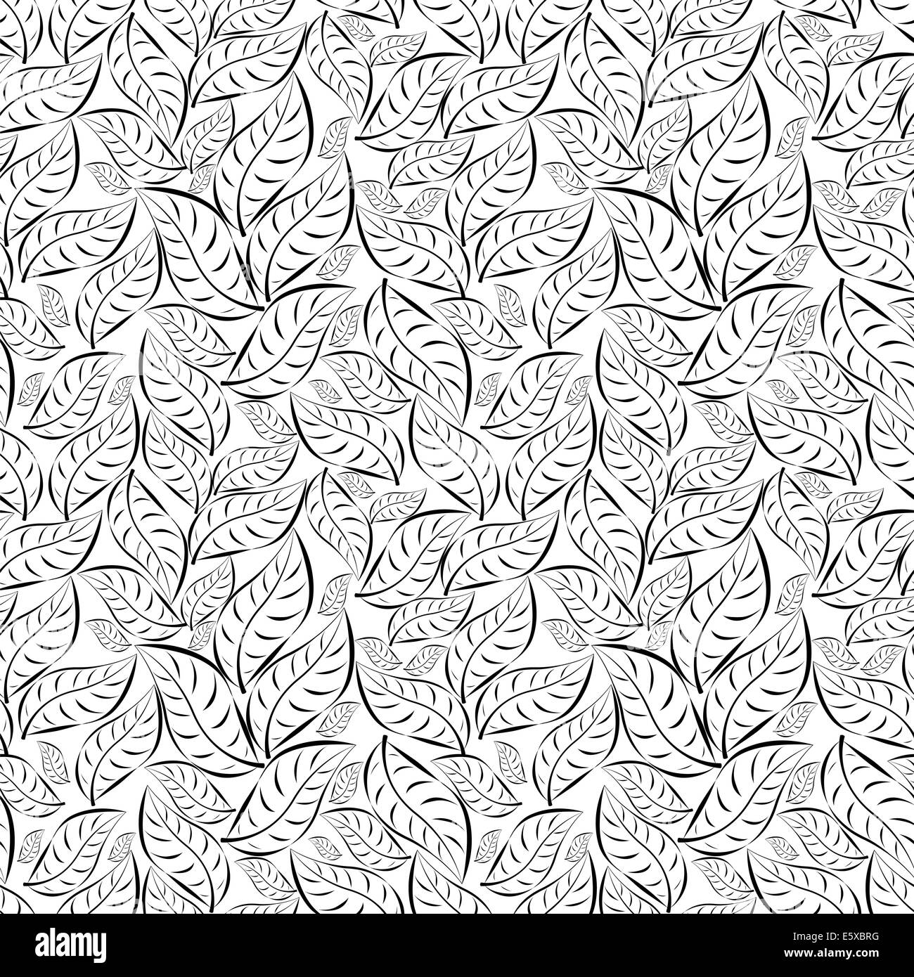 Plant many leaves Black and White Stock Photos & Images - Alamy