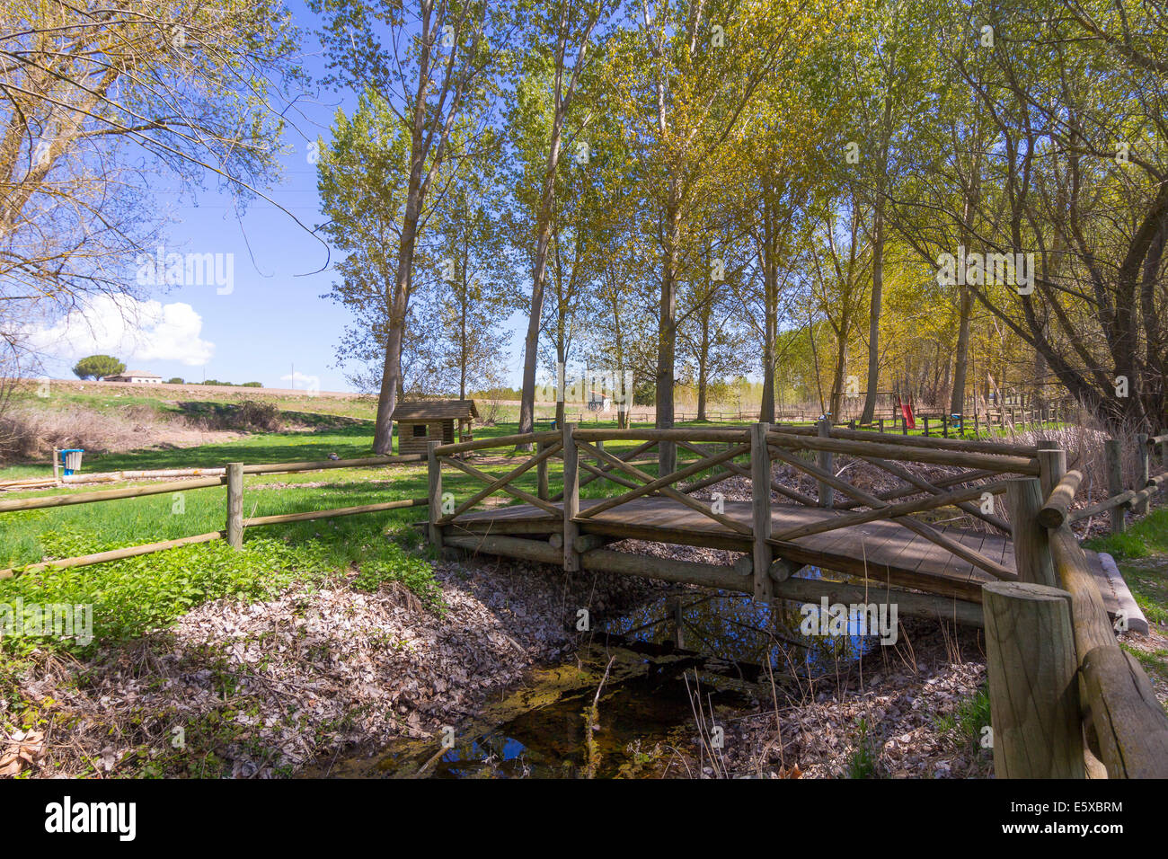 Wooden bridge in the forest hi-res stock photography and images - Alamy