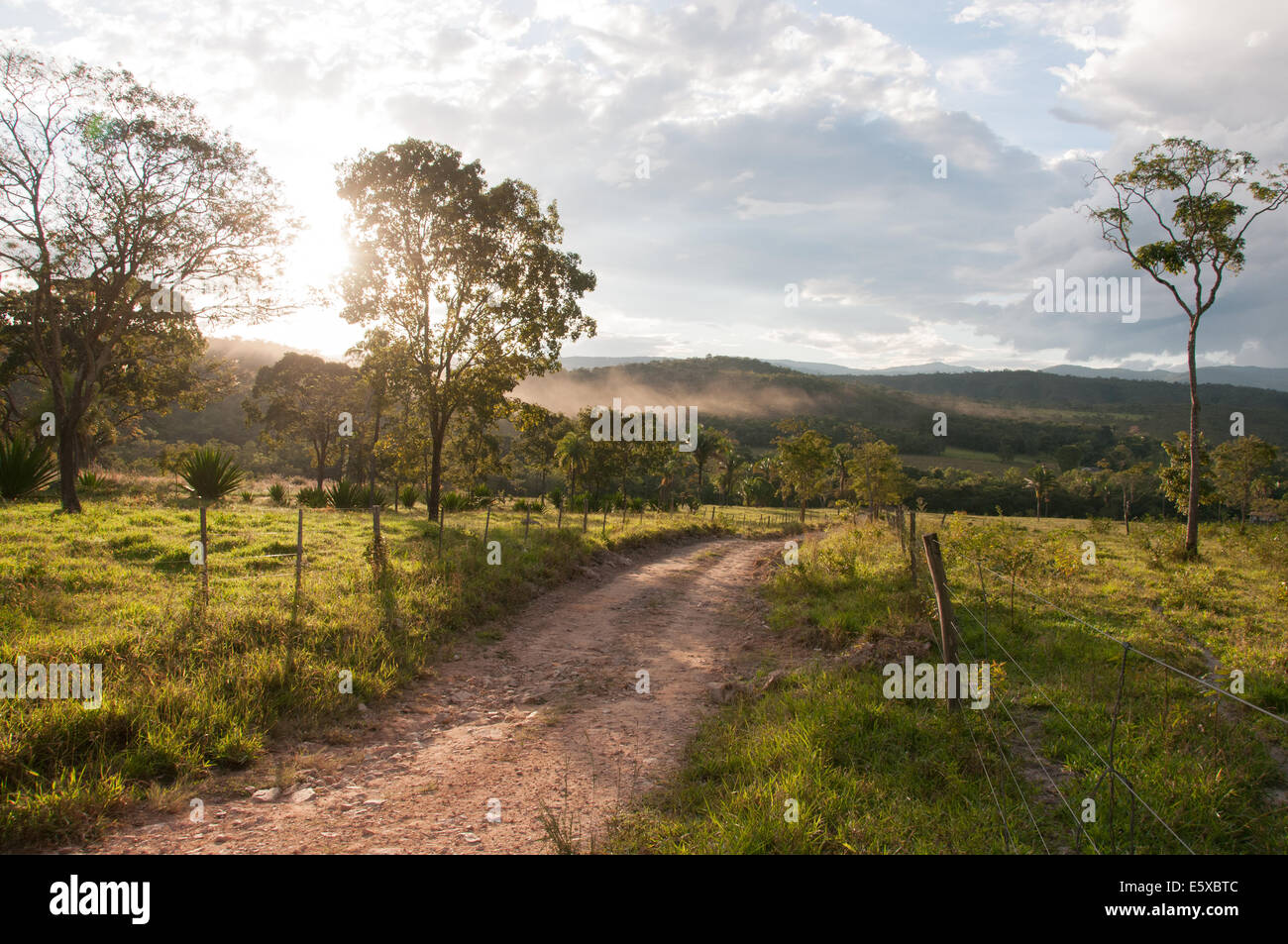 Road in the countryside Goiás state Brazil Stock Photo