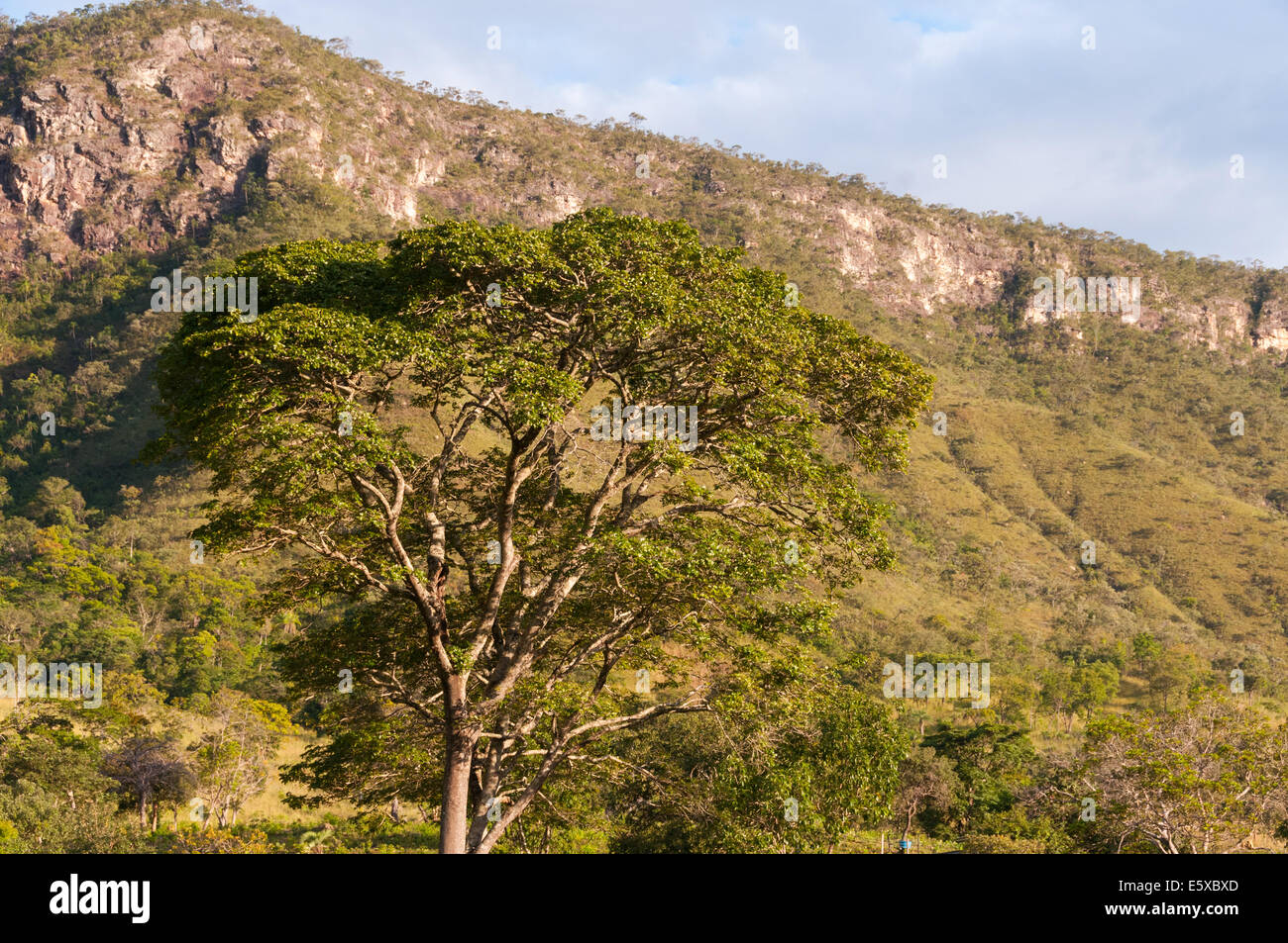 Beautiful landscape next to Alto Paraiso , Goiás state Brazil Stock Photo