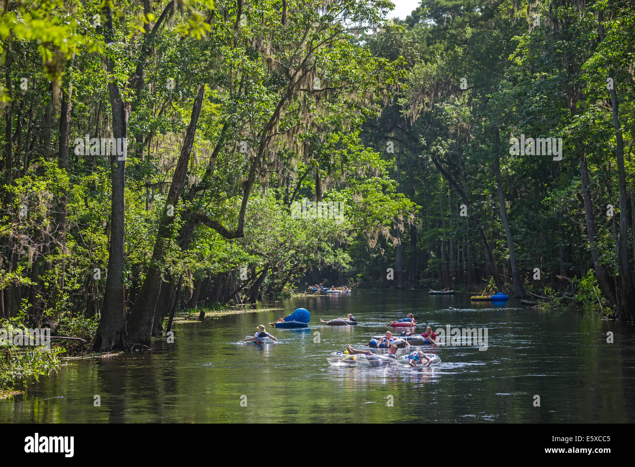 Tubing down the Ichetucknee River in North Florida is a great way to