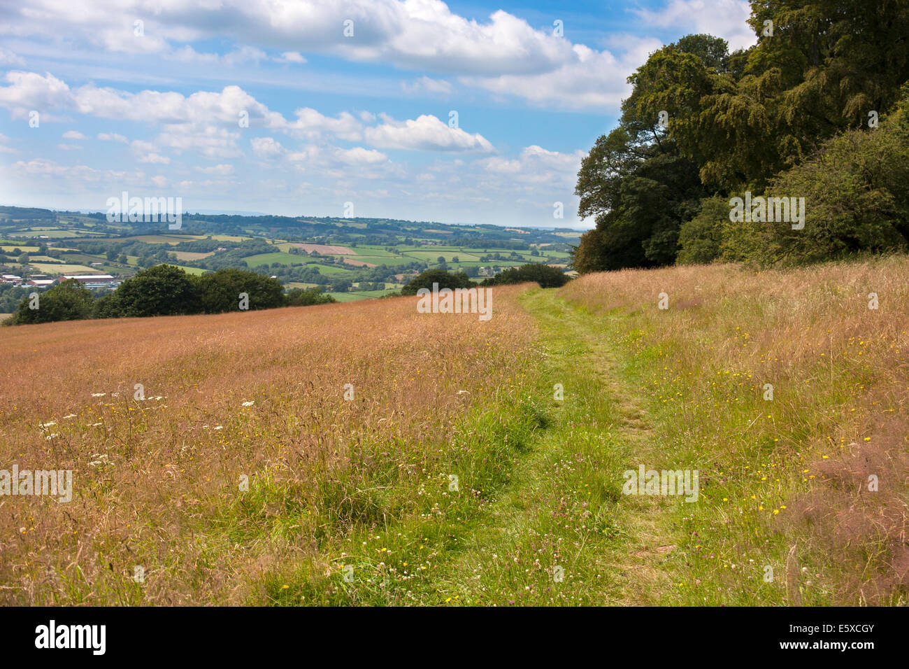 Bromyard Downs Herefordshire Stock Photo Alamy