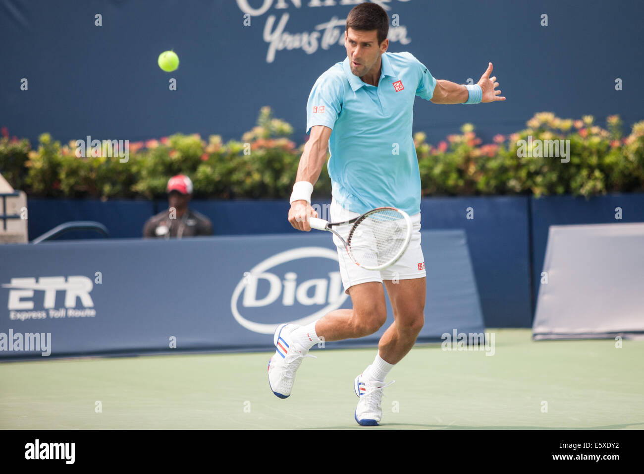 Toronto, Canada. 07th Aug, 2014. Novak Djokovic returns the ball during his match against Jo-Wilfried Tsonga at the 2014 Rogers Cup being played in Toronto on August 7, 2014. Djokovic lost the match in straight sets 6-2, 6-2. Credit:  Mark Spowart/Alamy Live News Stock Photo