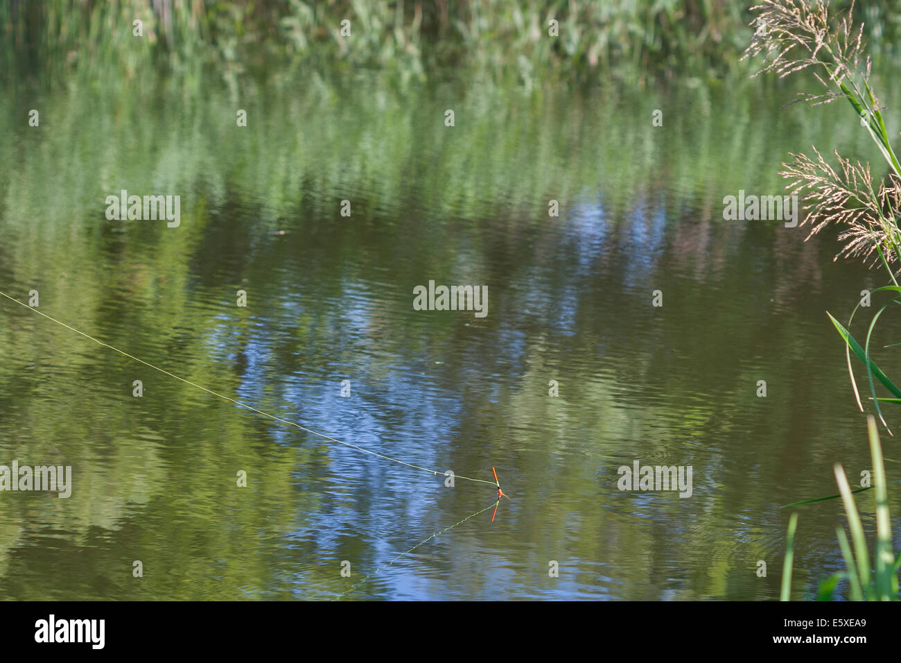 float fishing rod in the water Stock Photo