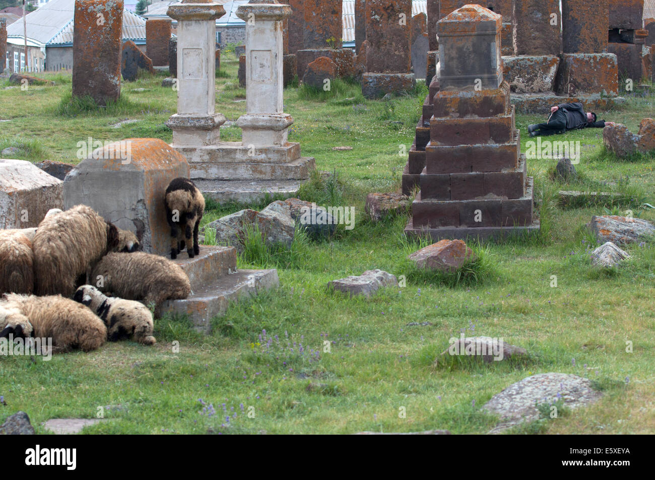 Old sheperd sleeping among tombs, Noratus cemetery, Armenia Stock Photo