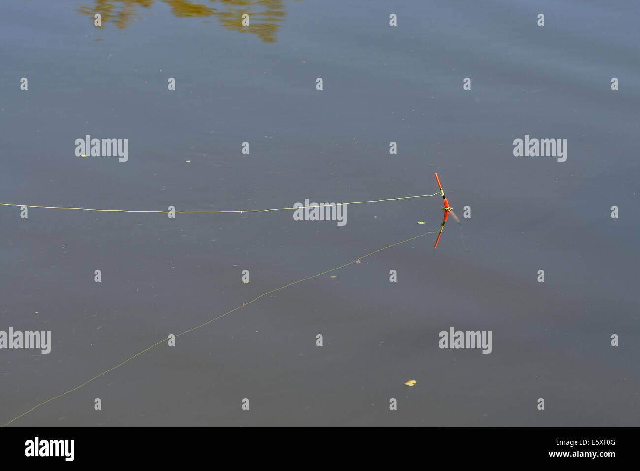 https://c8.alamy.com/comp/E5XF0G/float-fishing-rod-in-the-water-E5XF0G.jpg
