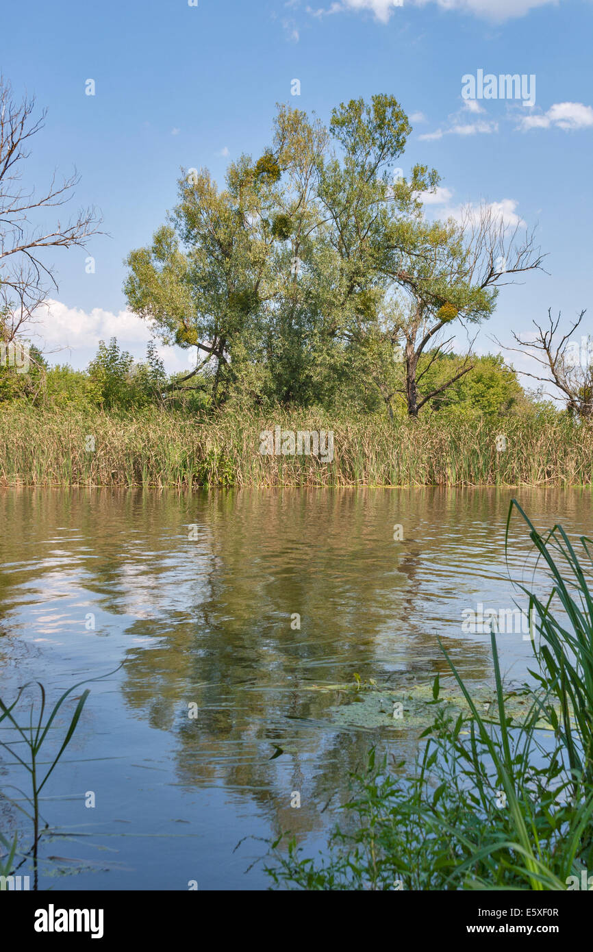 quiet Ros river reflection at summer, Ukraine Stock Photo