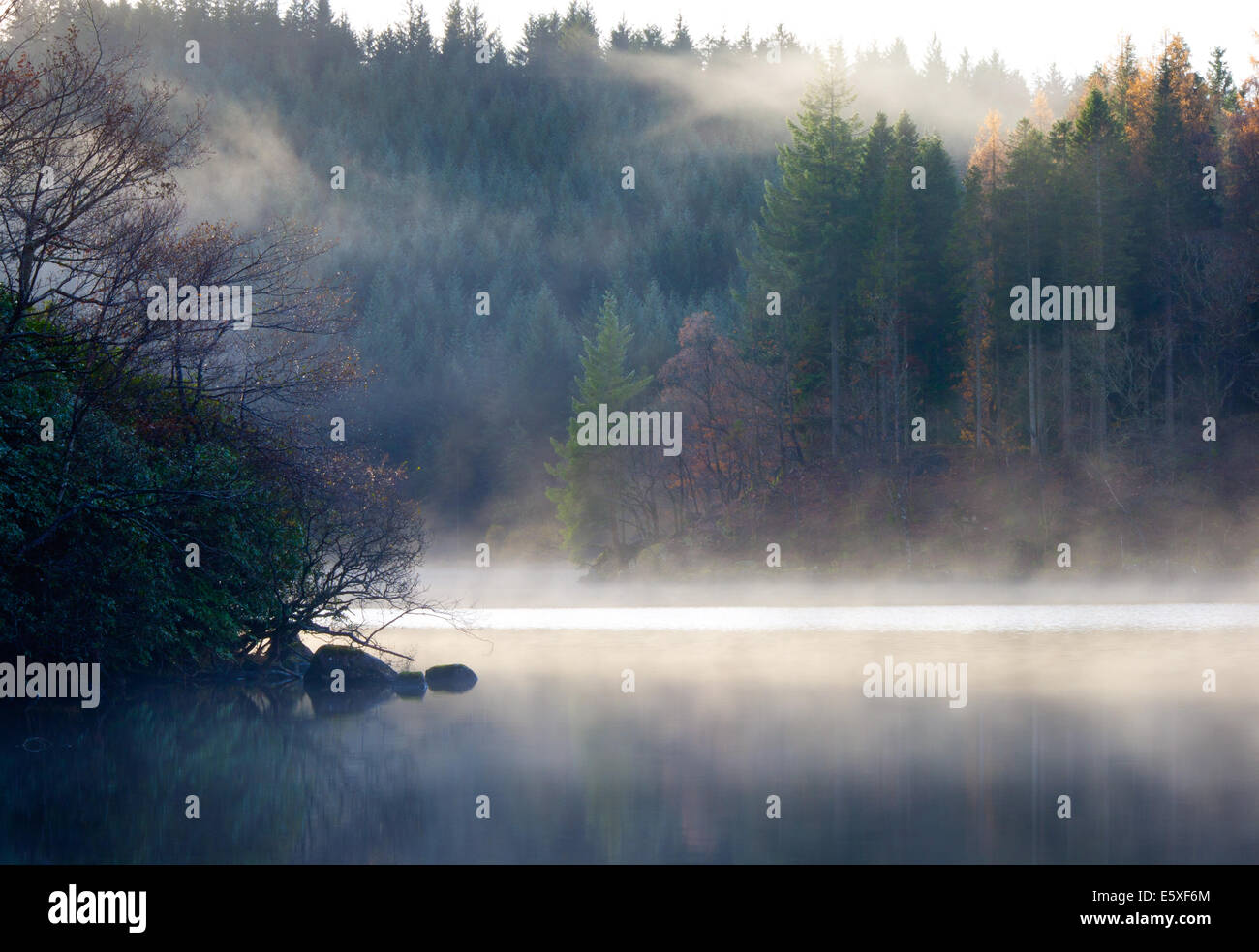 Early Morning Mist Loch Ard Stock Photo Alamy