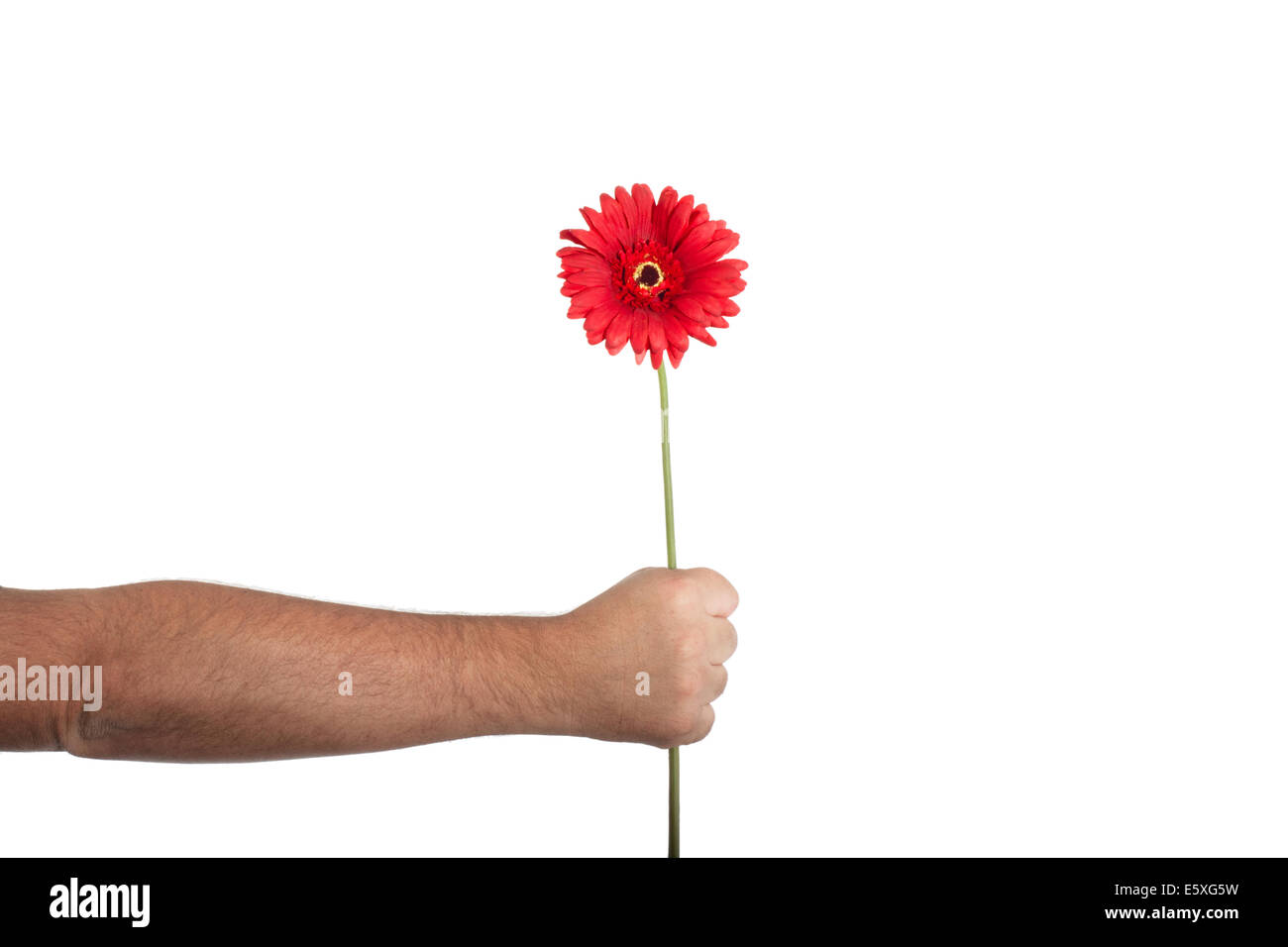 Funny floral tribute Stock Photo