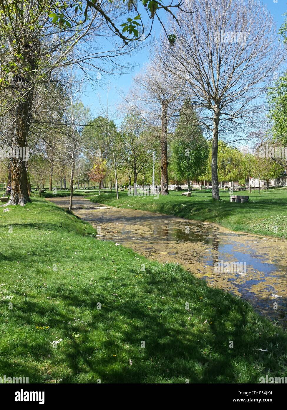green meadow with trees and a creek one day in sun Stock Photo
