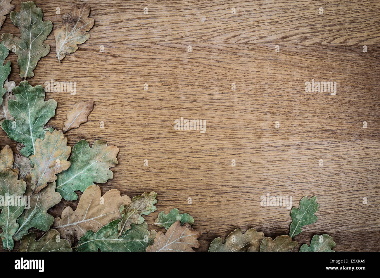 fall background on wooden board Stock Photo