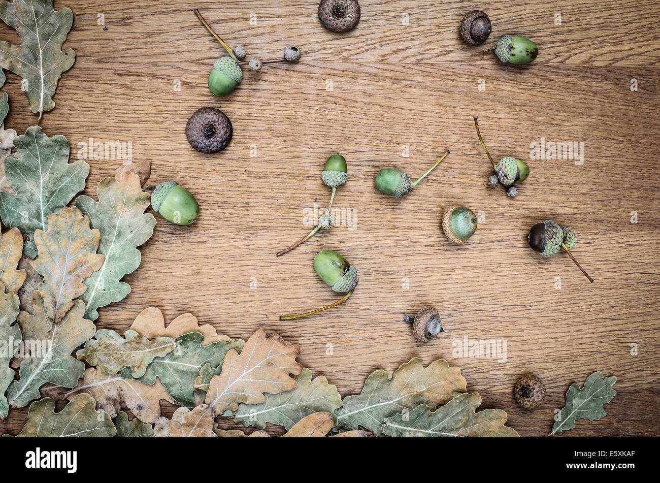 fall background on wooden board Stock Photo