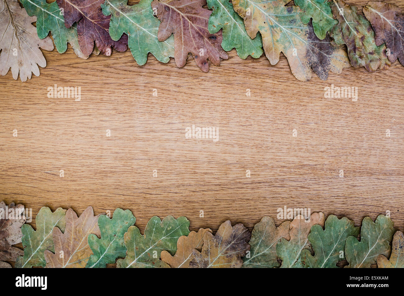 fall background on wooden board Stock Photo
