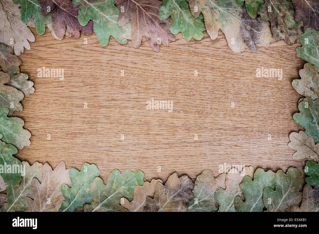 fall background on wooden board Stock Photo