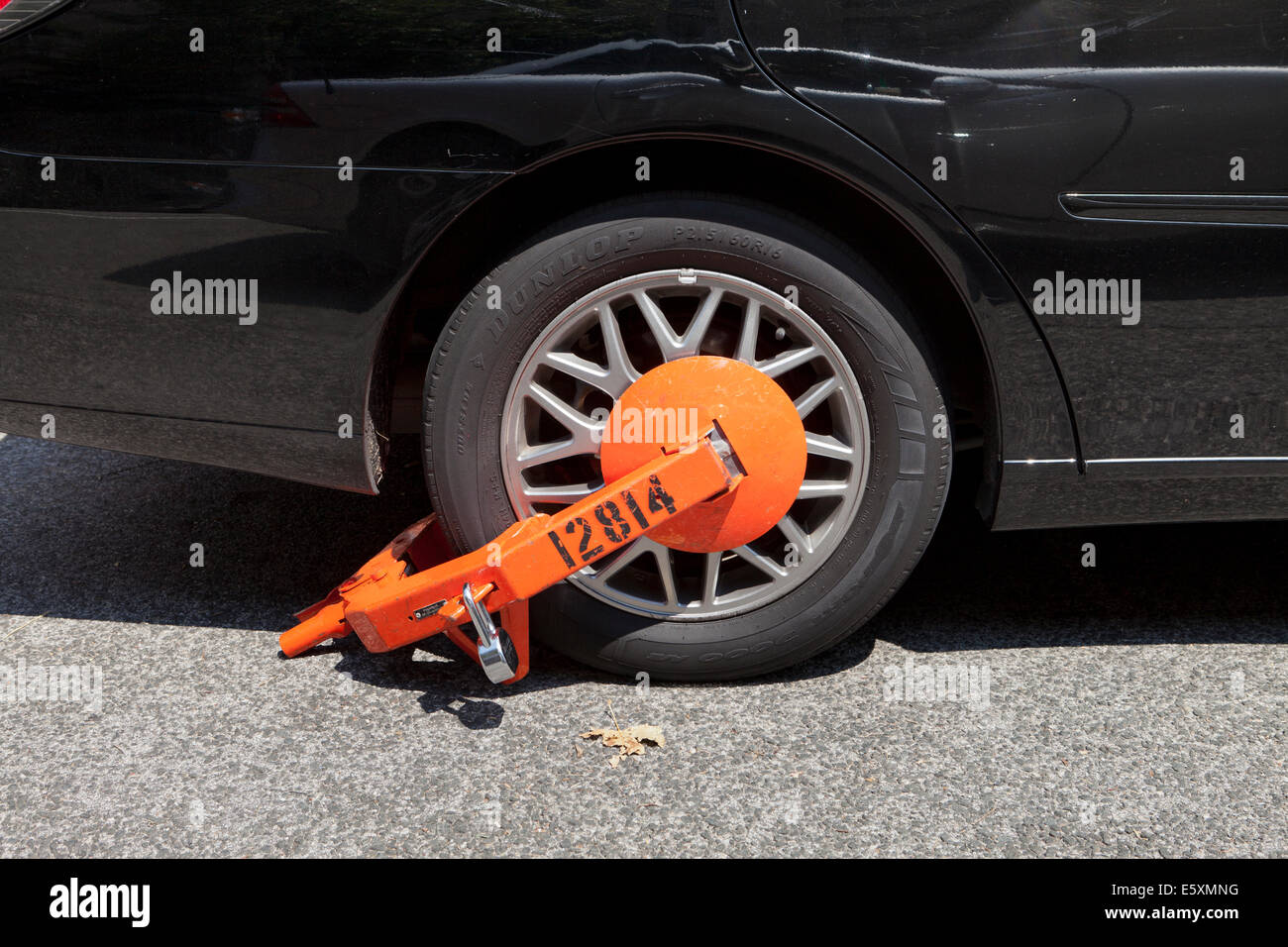 Wheel lock on car USA Stock Photo Alamy