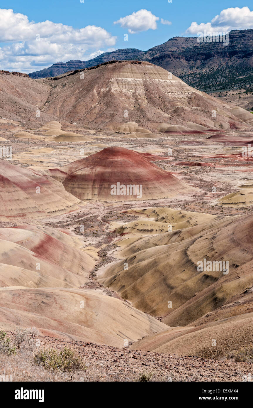 Oregon, John Day Fossil Beds National Monument (Painted Hills Unit