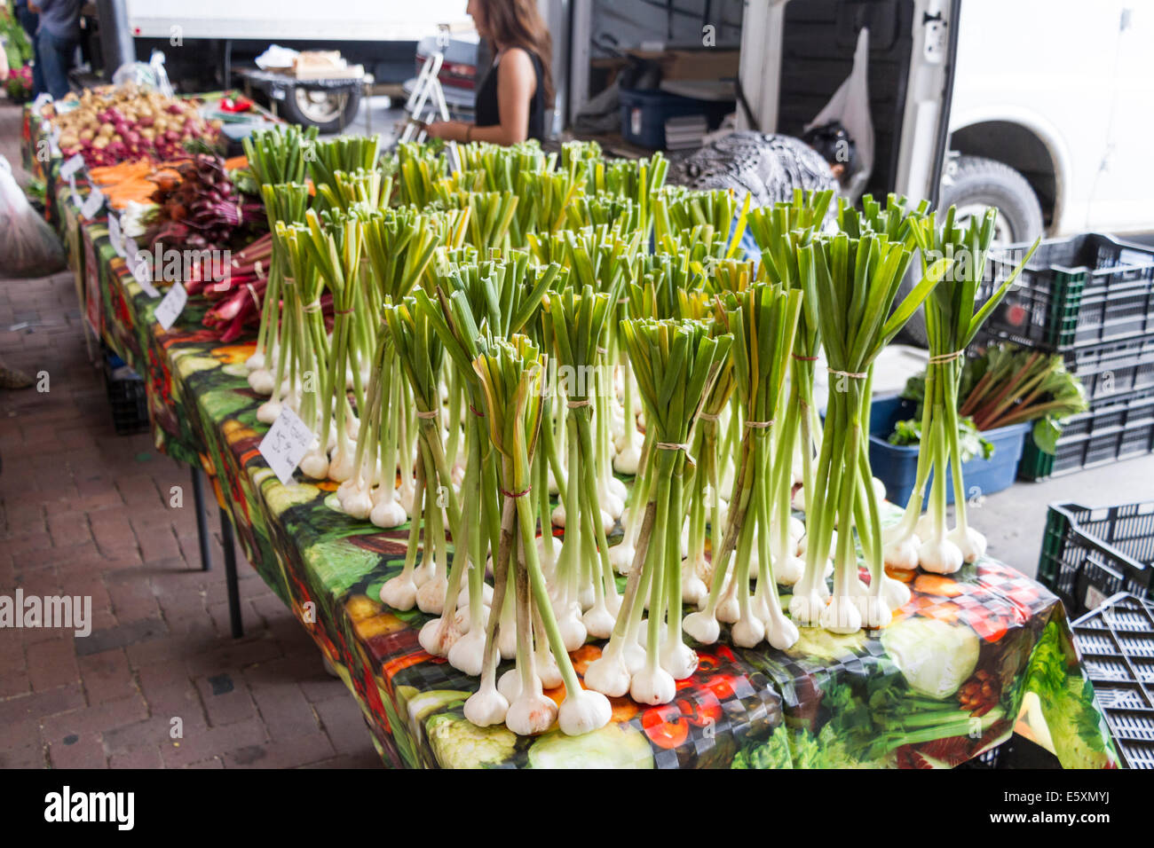 Garlic, St Paul Farmers Market, St Paul, Minnesota, USA Stock Photo Alamy