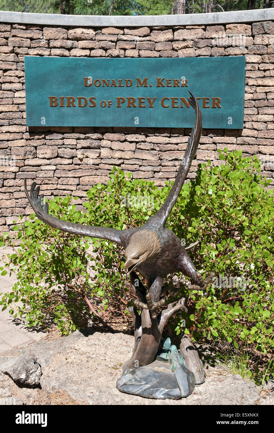 Oregon, Bend, High Desert Museum, Birds of Prey Center, eagle bronze sculpture Stock Photo