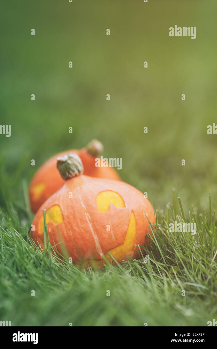 funny halloween pumpkins on grass, outdoor photo Stock Photo - Alamy