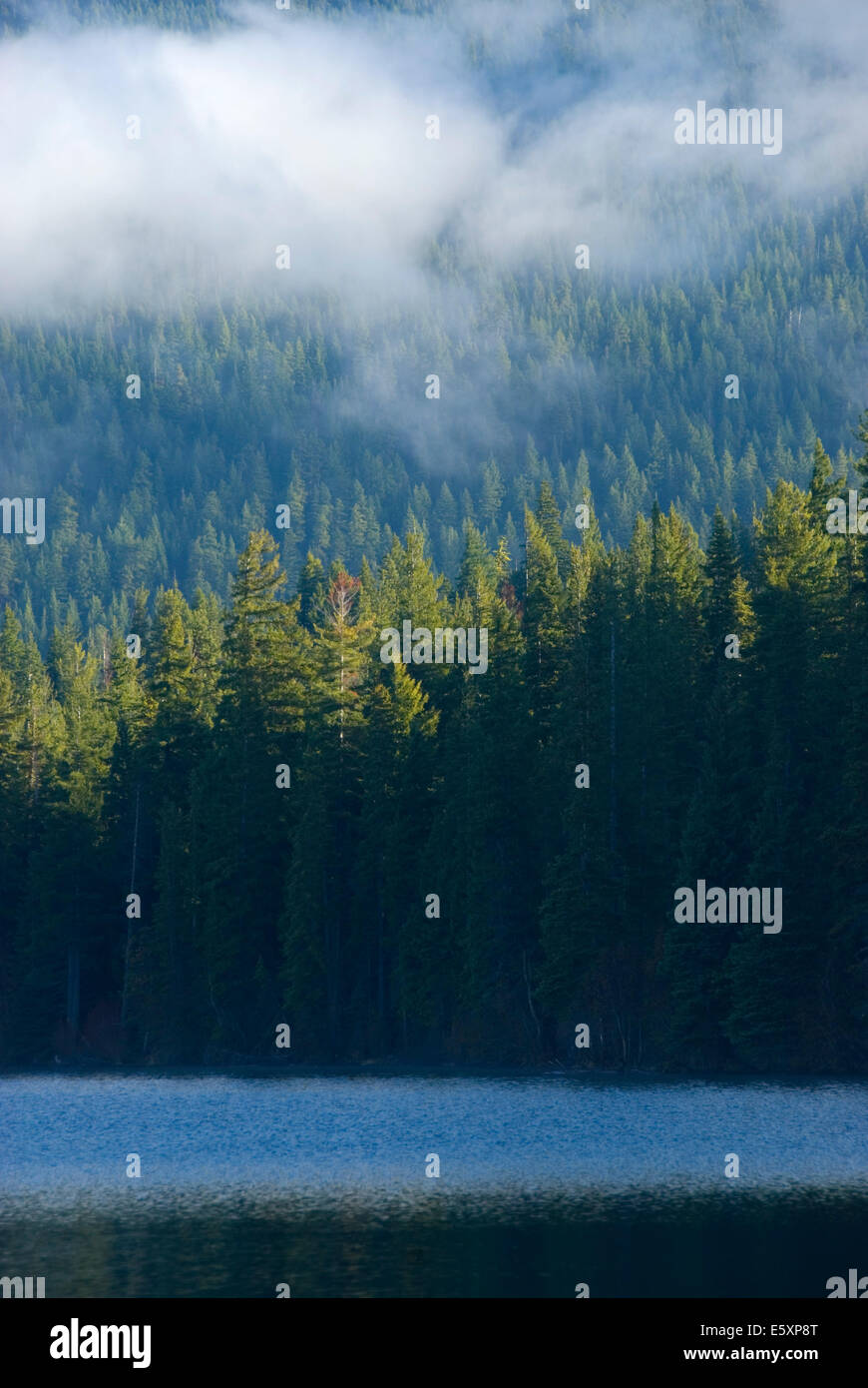 Odell Lake, Deschutes National Forest, Oregon Stock Photo Alamy