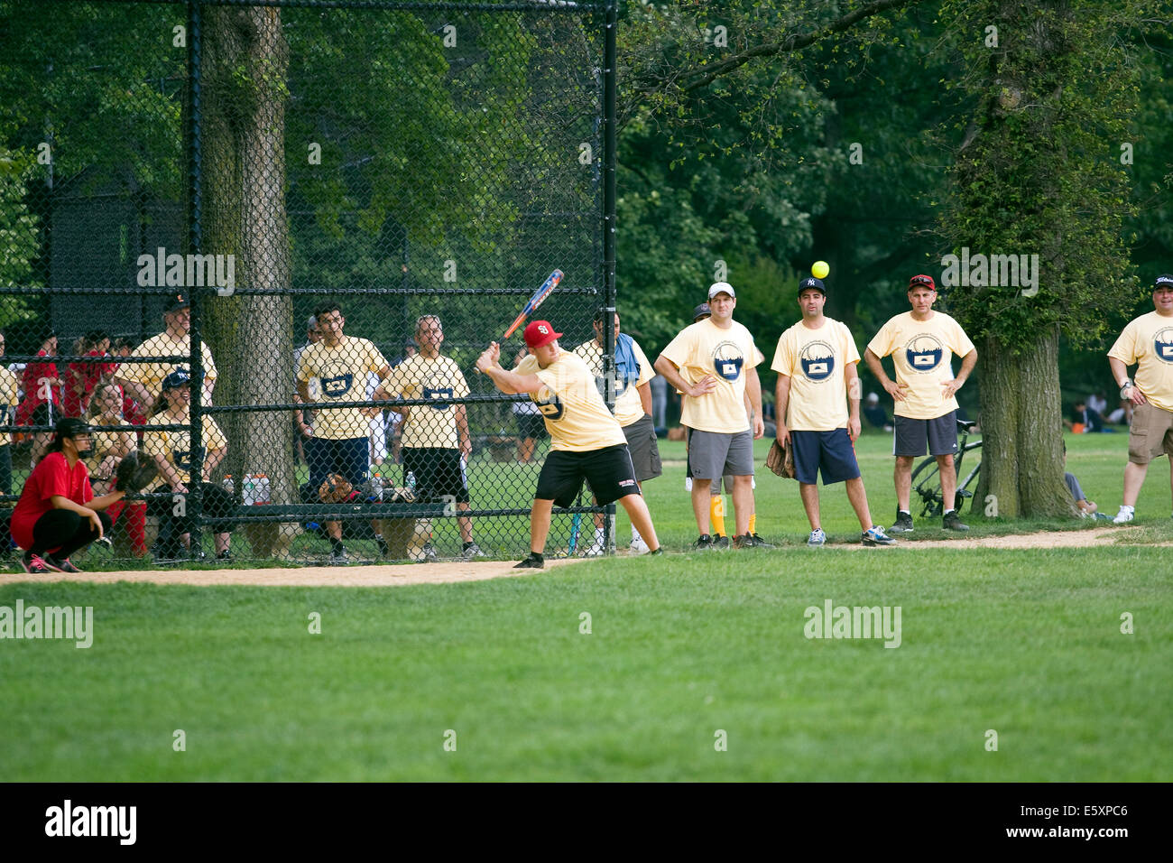 A volunteer Softball Team at the Great Lawn in Central Park looks on as the batter gets ready to hit a yellow softball Stock Photo