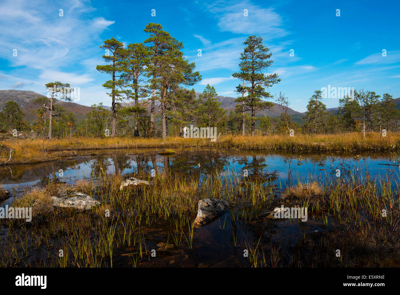 Lake, Ånderdalen National Park, Senja, Norway Stock Photo - Alamy