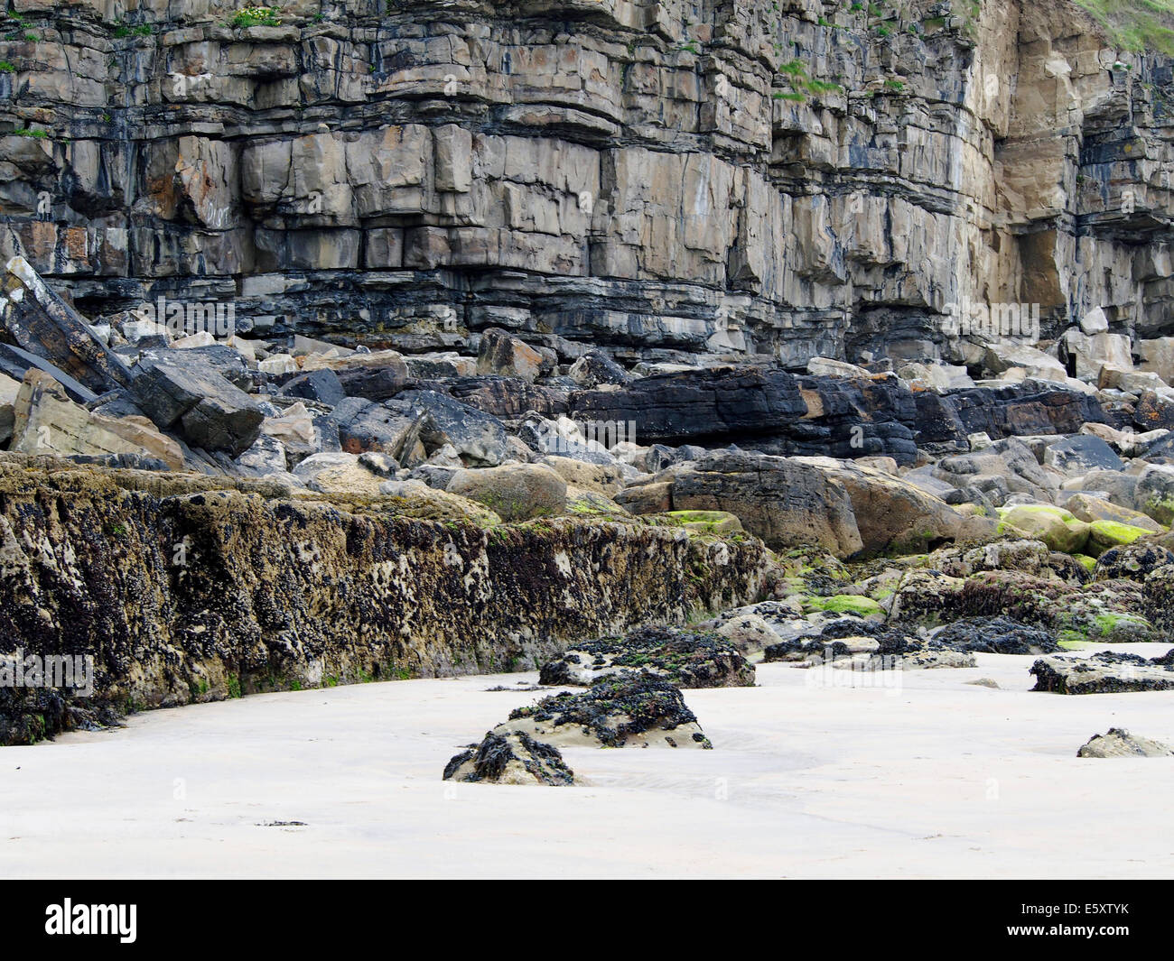 Cliff with horizontally bedded strata and a wave cut platform at the base near Mullaghmore, County Sligo, Ireland Stock Photo