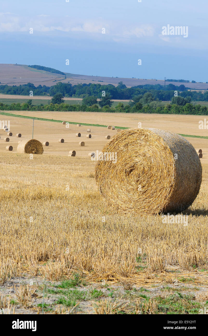 A view of Wiltshire at harvest time UK Stock Photo