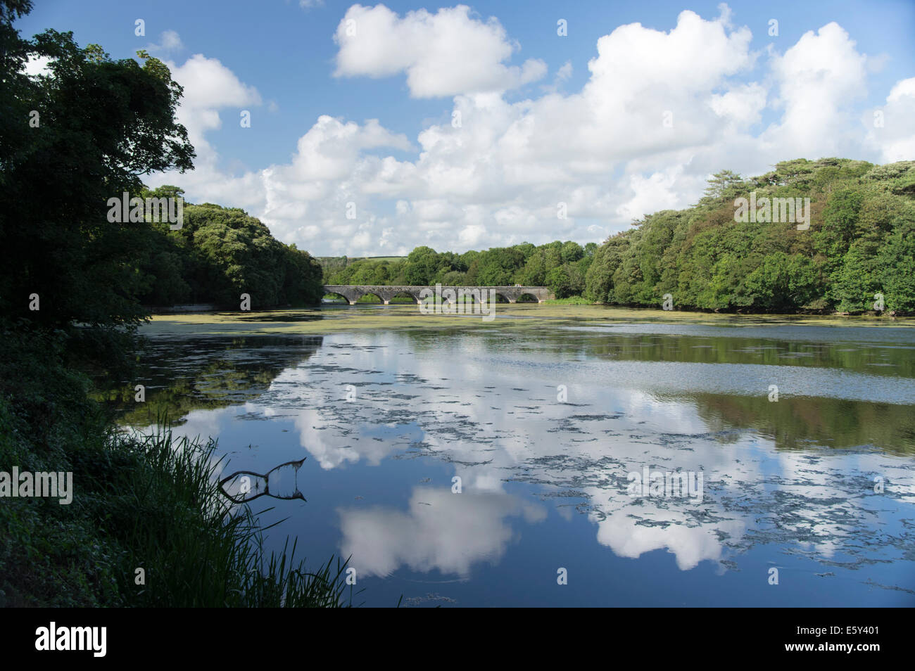 Ponds and bridges hi-res stock photography and images - Alamy