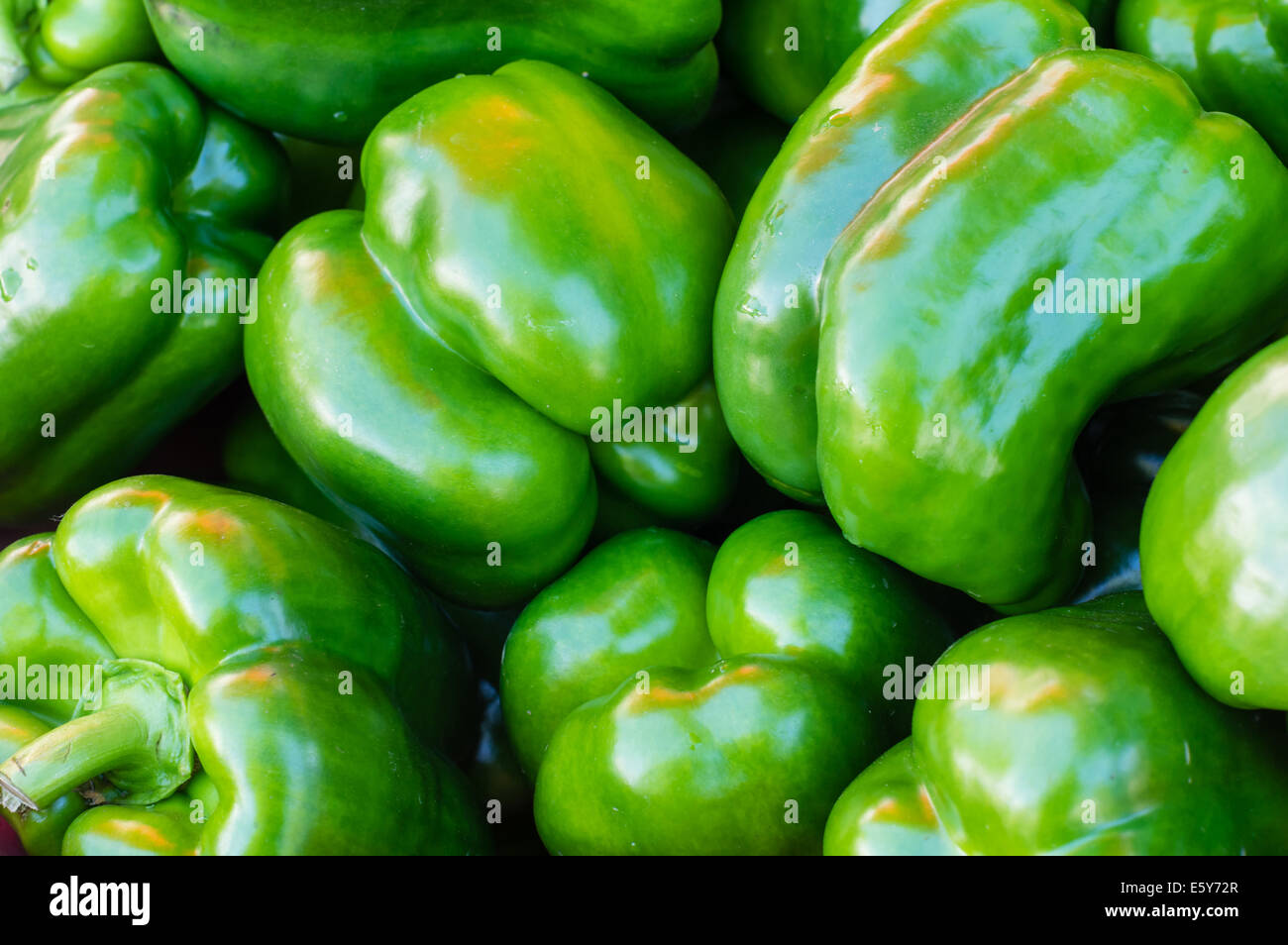 Freshly picked green bell peppers on display at the market Stock Photo ...