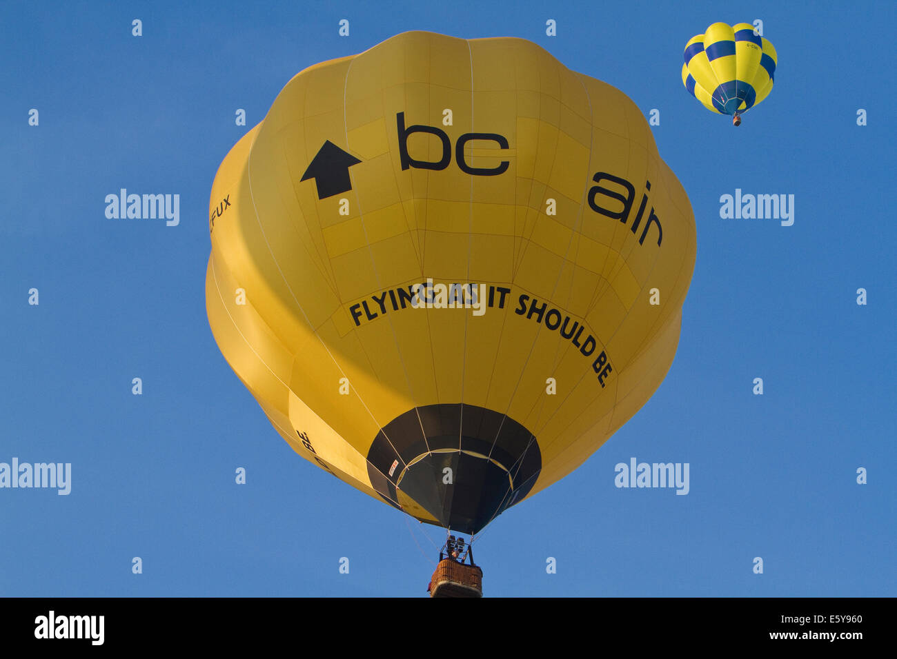 Bristol, UK. 8th August, 2014. Yellow balloons lift off during the Bristol International Balloon Fiesta Credit: Keith Larby/Alamy Live News Stock Photo